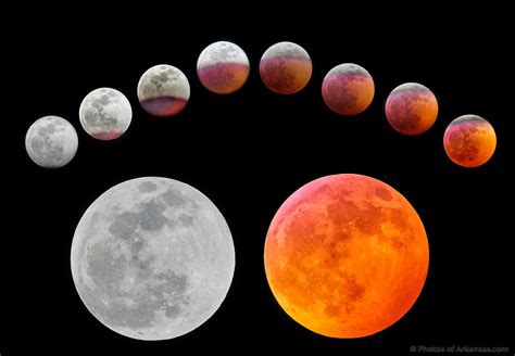 Blood Moon .